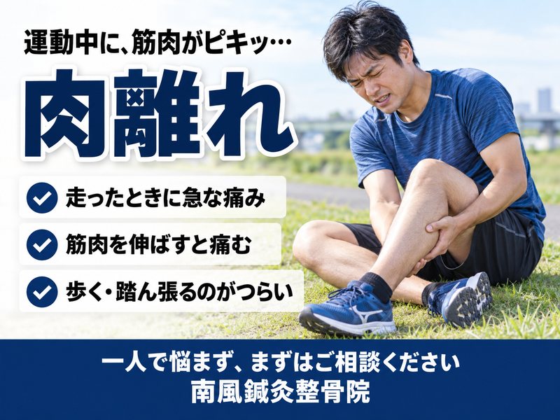 肉離れでお悩みの方へ|宇部市の南風鍼灸整骨院